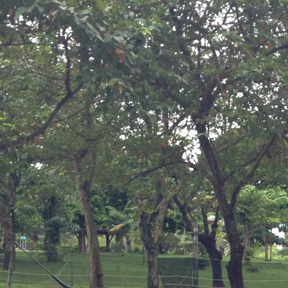 Meet your Posher, Sherry